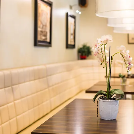 Hotel Avalon Hotel&conferences 4*